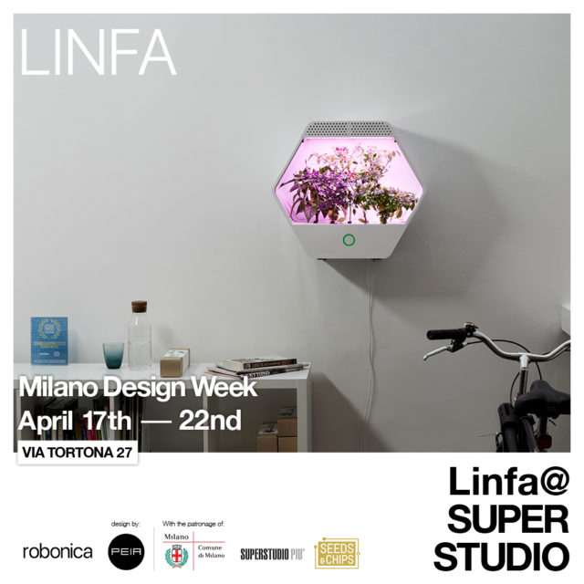 Linfa @ SUPER STUDIO
